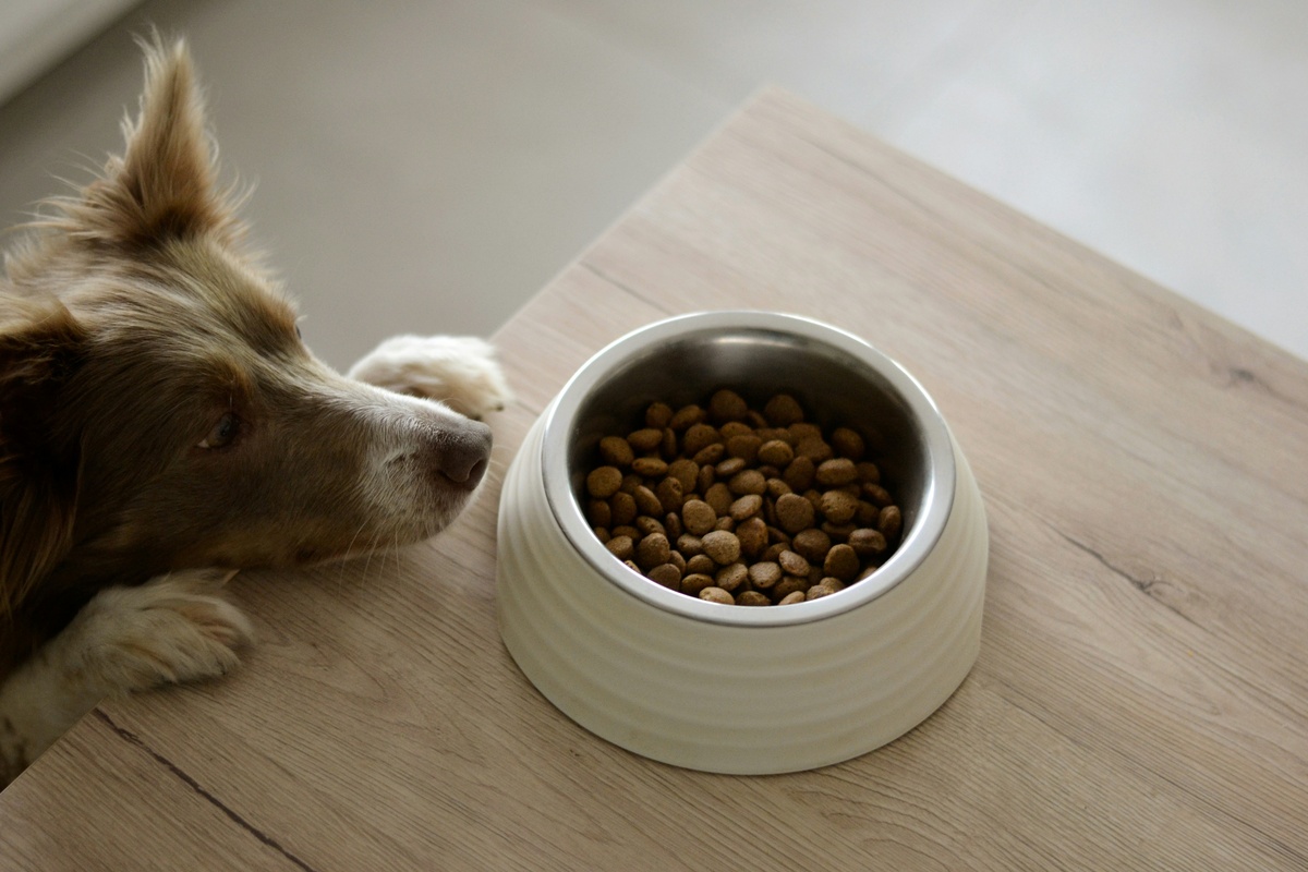 Refrigerated Pet Food